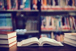 Borrowing / Loan Policy